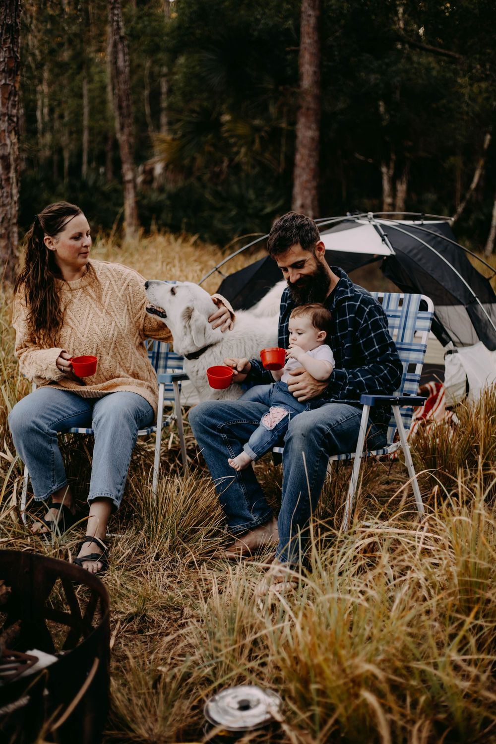 A series of candid outdoor photos showing people relaxing on a car hood in tall grass at sunset.