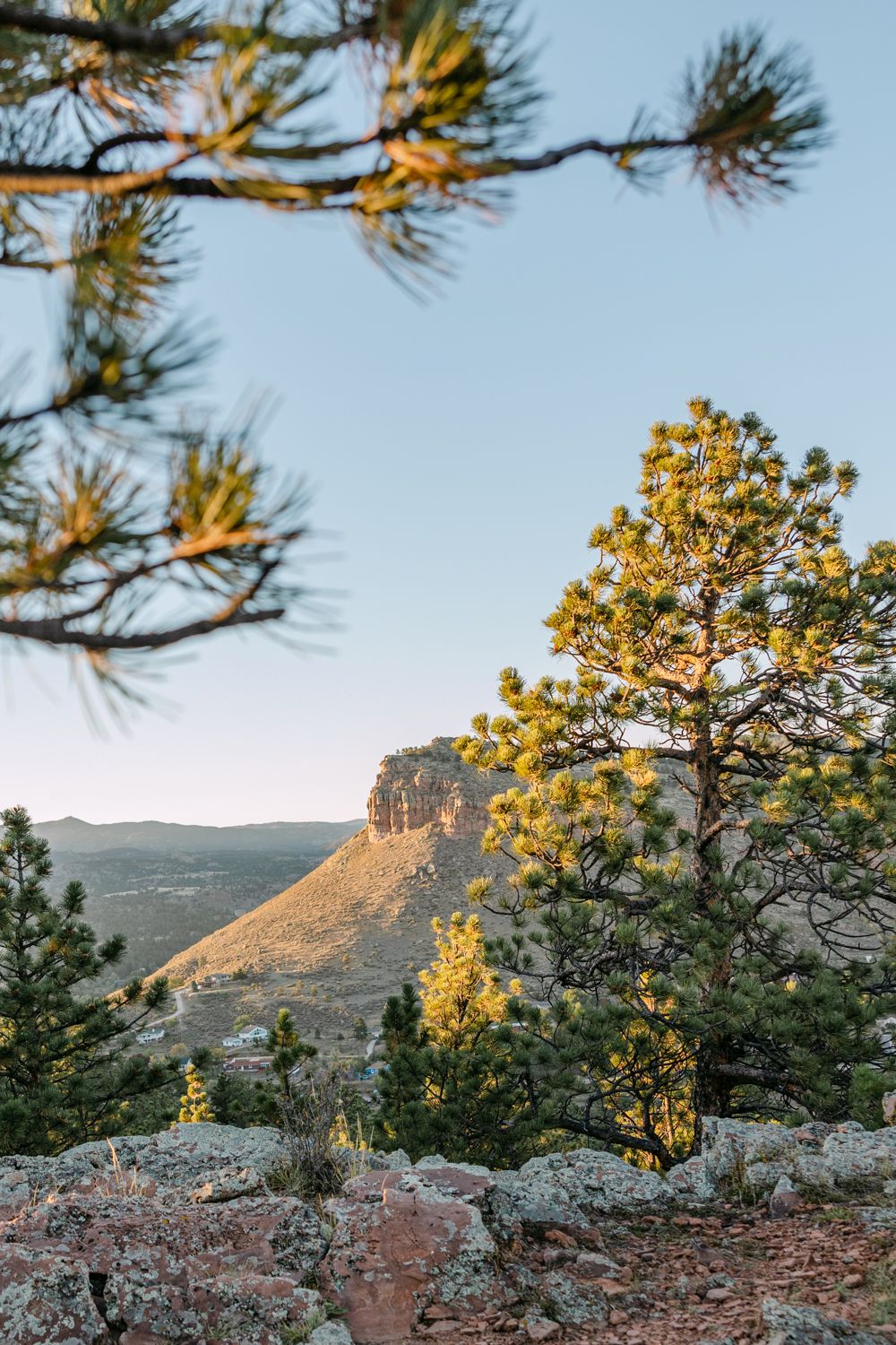 Pine trees frame a scenic view of a rocky cliff face bathed in golden sunlight at sunset in a mountainous landscape.
