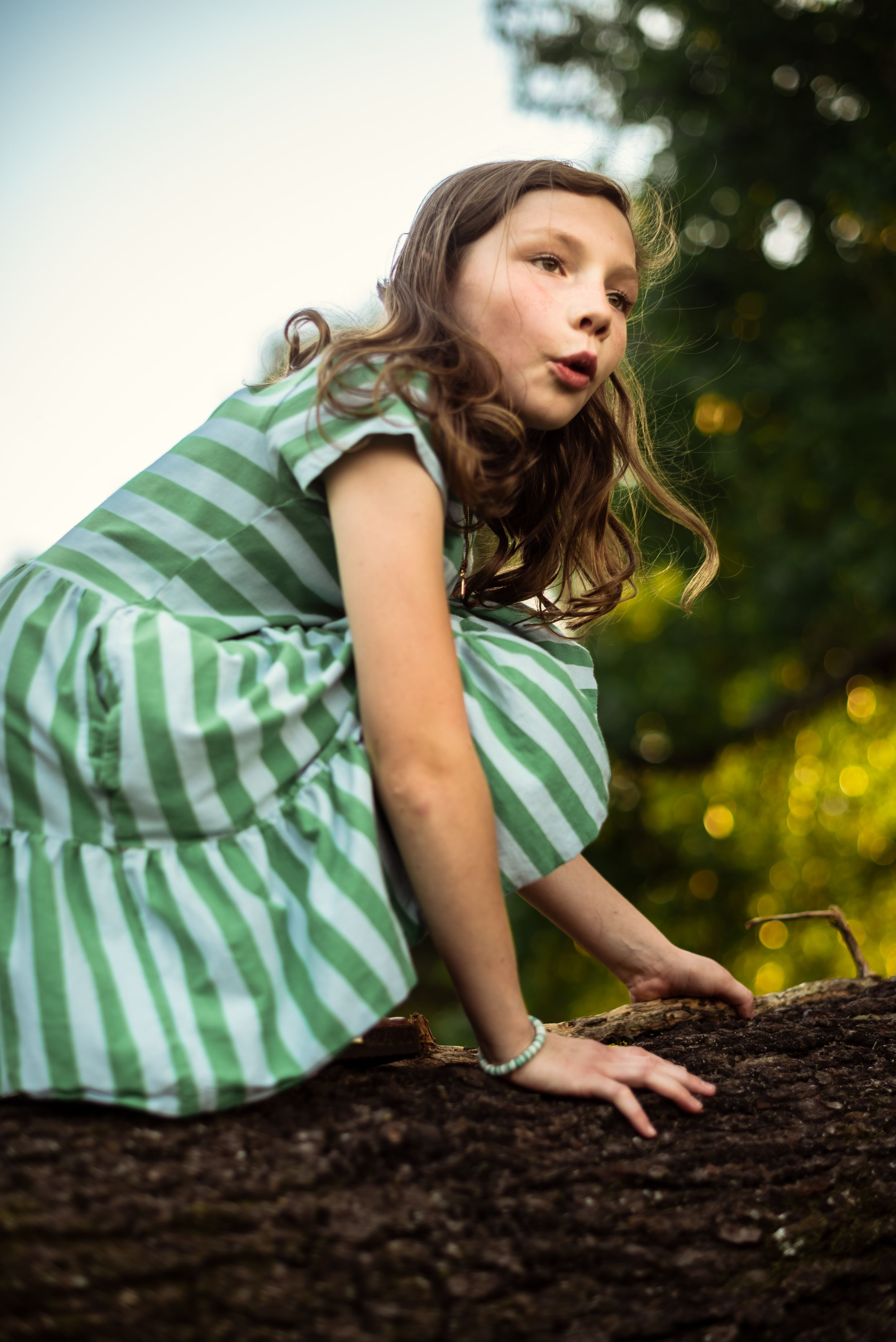 Memphis Family Photographer portrait of girl climbing tree at Shelby Farms during Golden Hour.