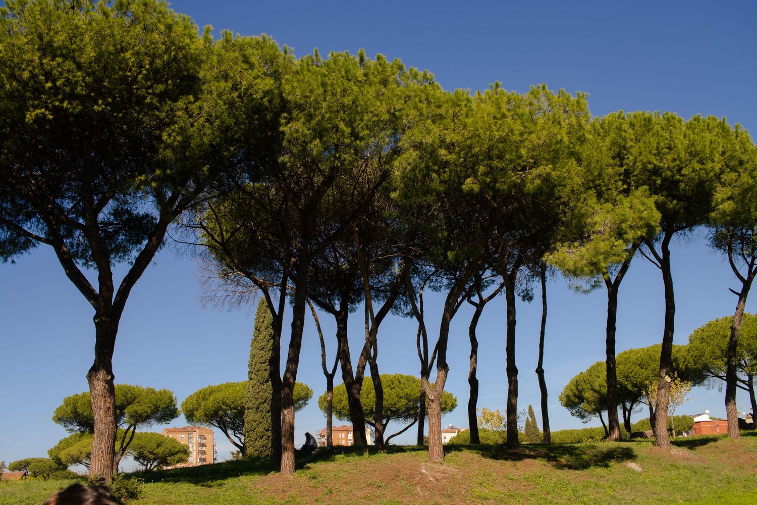 A beautiful park in Rome, Italy.