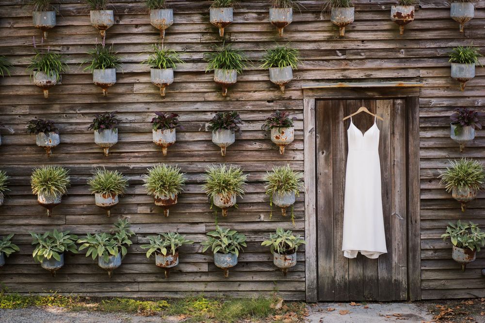 Rustic barn wall decorated with hanging potted plants and ferns creates natural wedding backdrop.