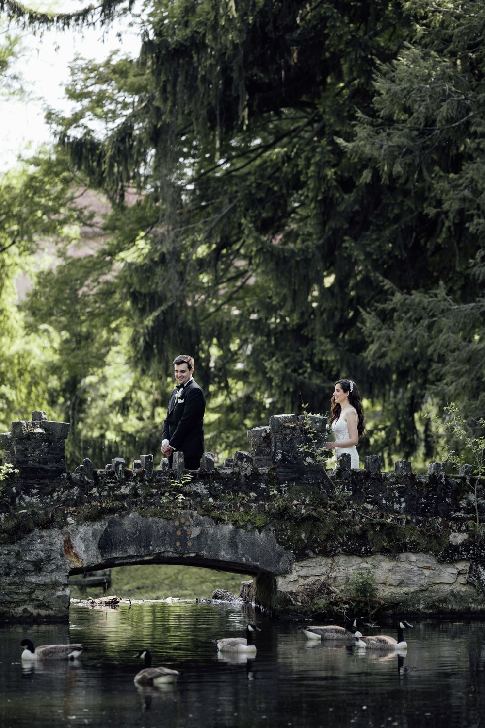 A romantic stone bridge over a pond with swans swimming below in a lush garden setting.