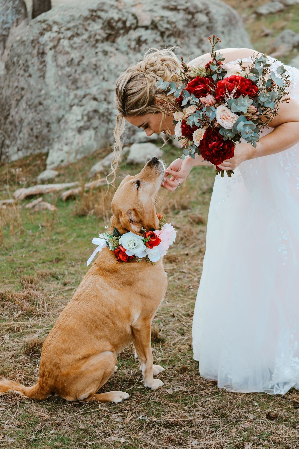 A dog in a floral collar sits with someone in a white wedding dress amid rocky terrain.
