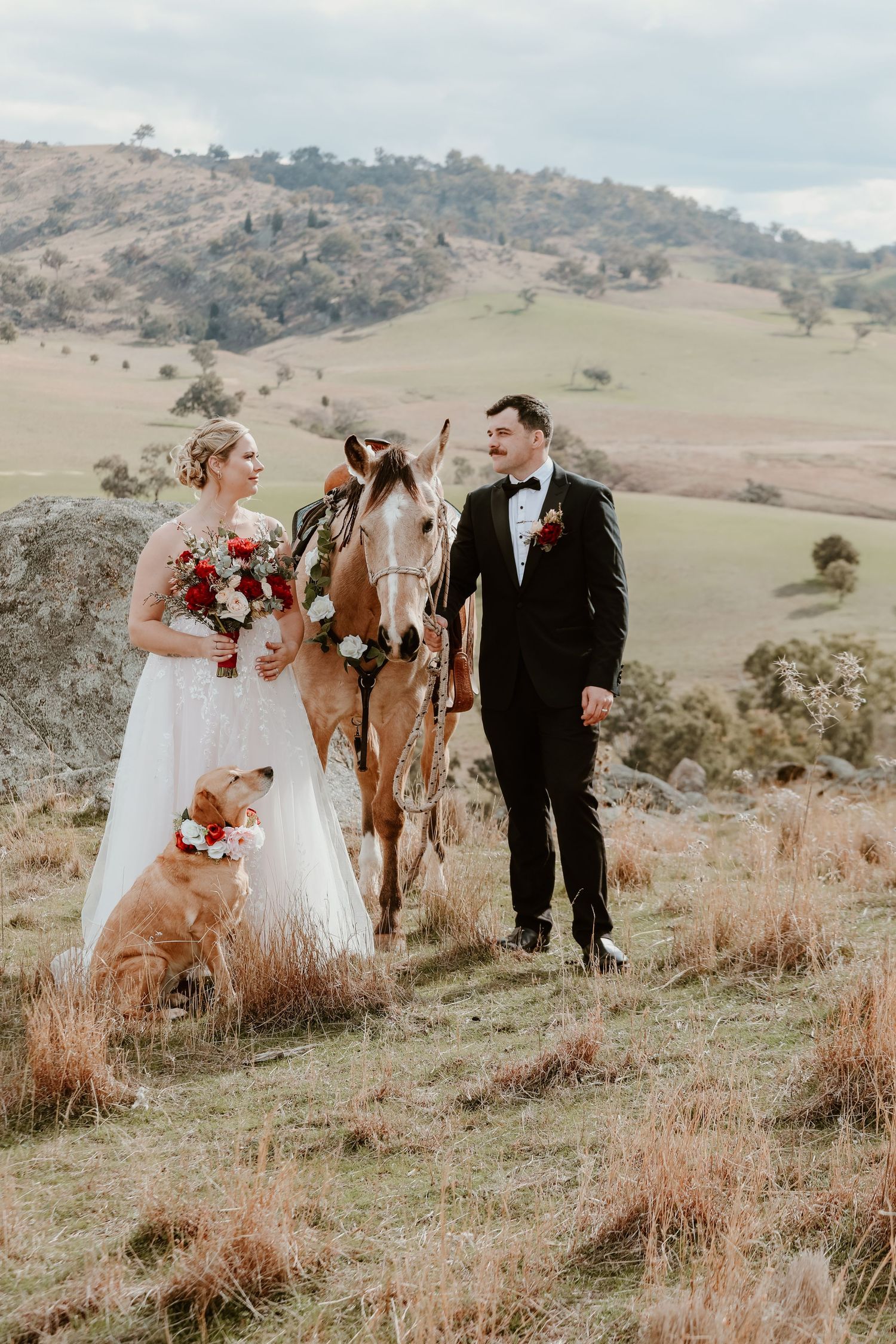 Wedding couple poses with their golden retriever on a scenic hillside with rolling landscape.