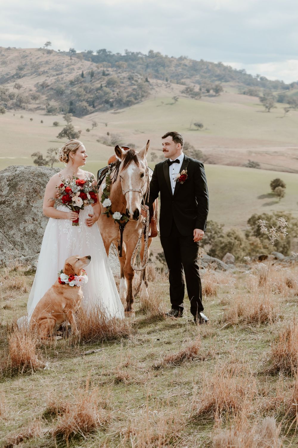 Wedding couple poses with their golden retriever on a scenic hillside with rolling landscape.