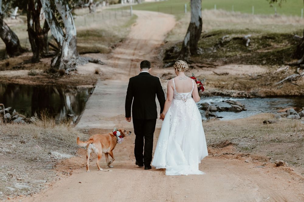 Wedding couple walks along a dirt path with their loyal golden retriever following behind.