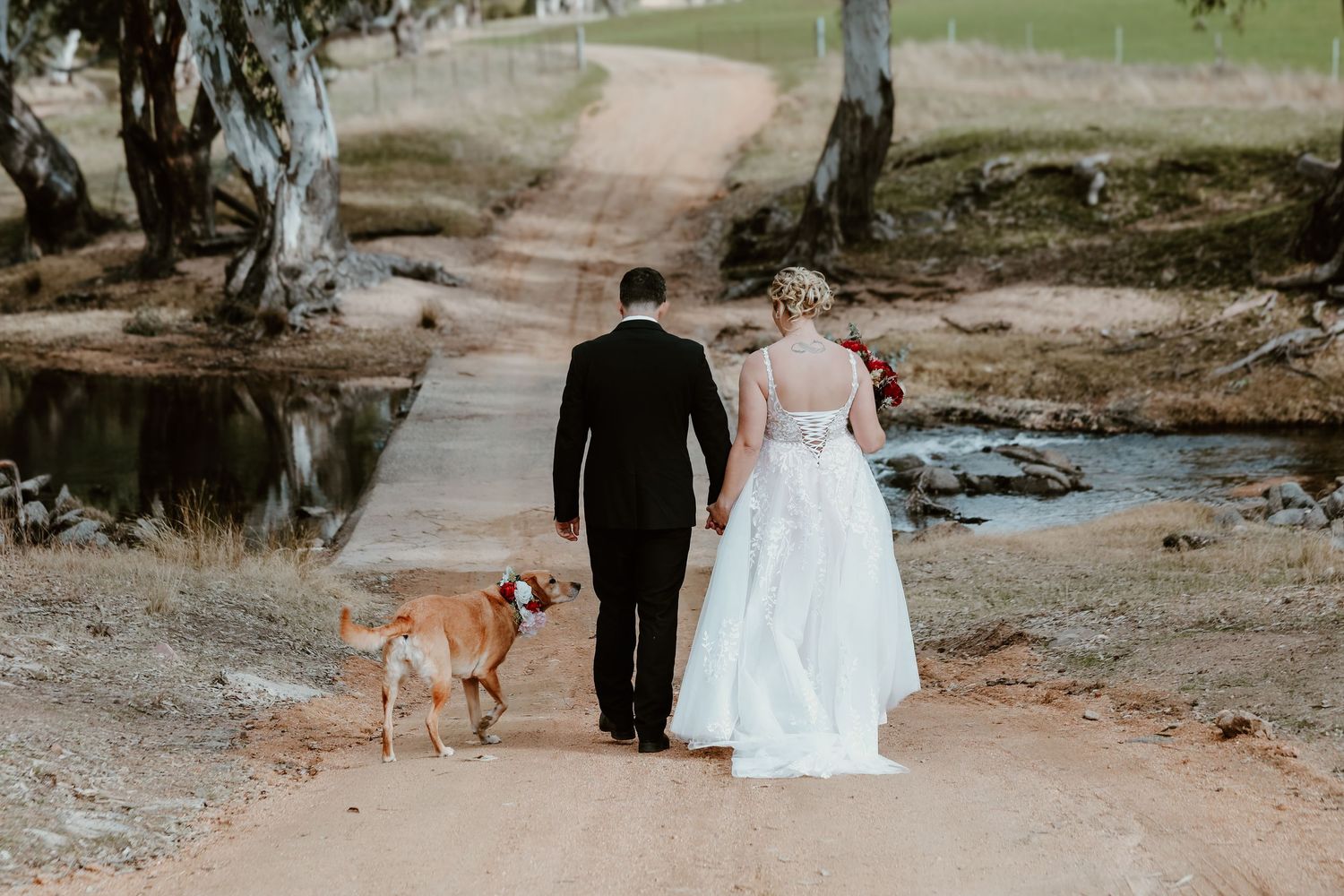 Wedding couple walks along a dirt path with their loyal golden retriever following behind.