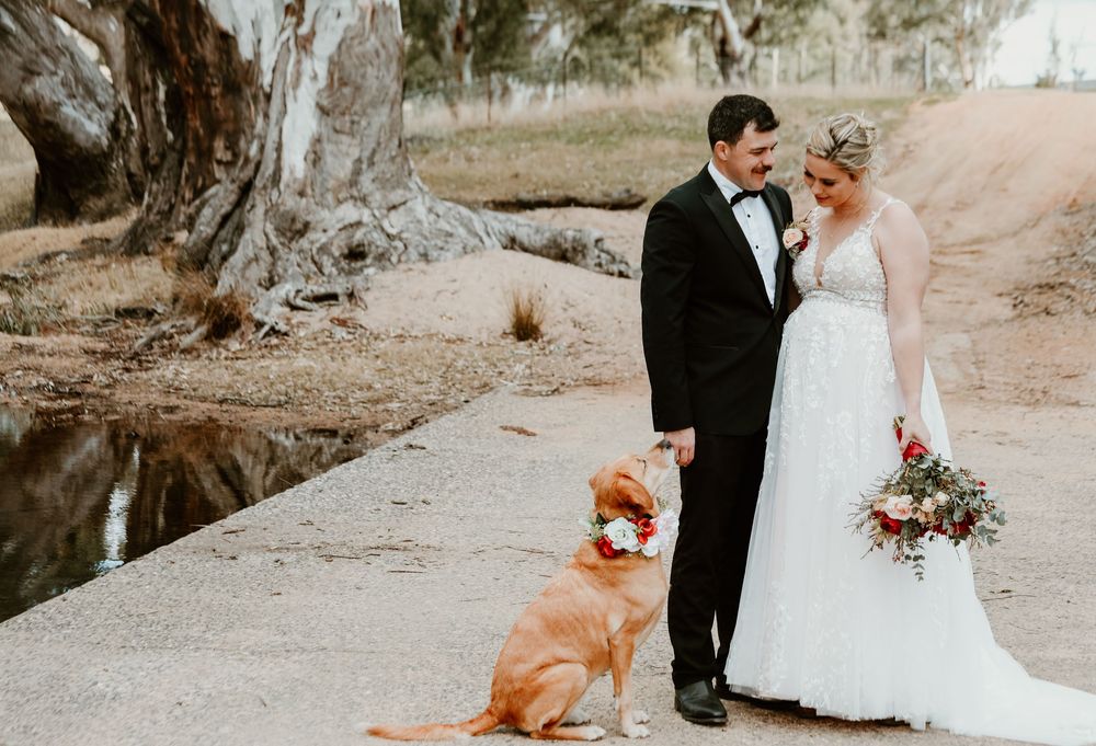 A romantic wedding photo session featuring a couple and their dog in a desert setting.