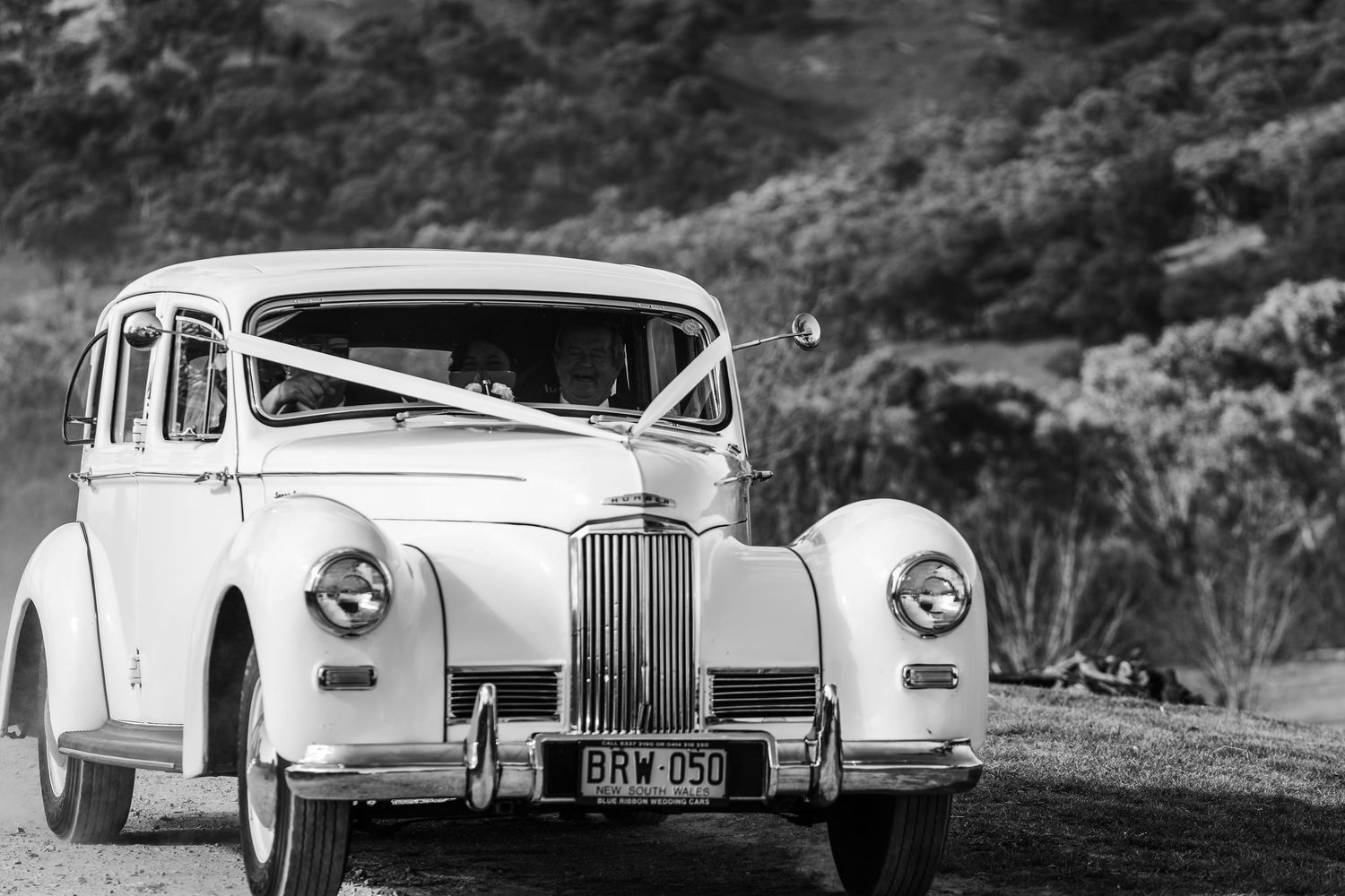 Classic white vintage wedding cars lined up on a scenic mountain road.