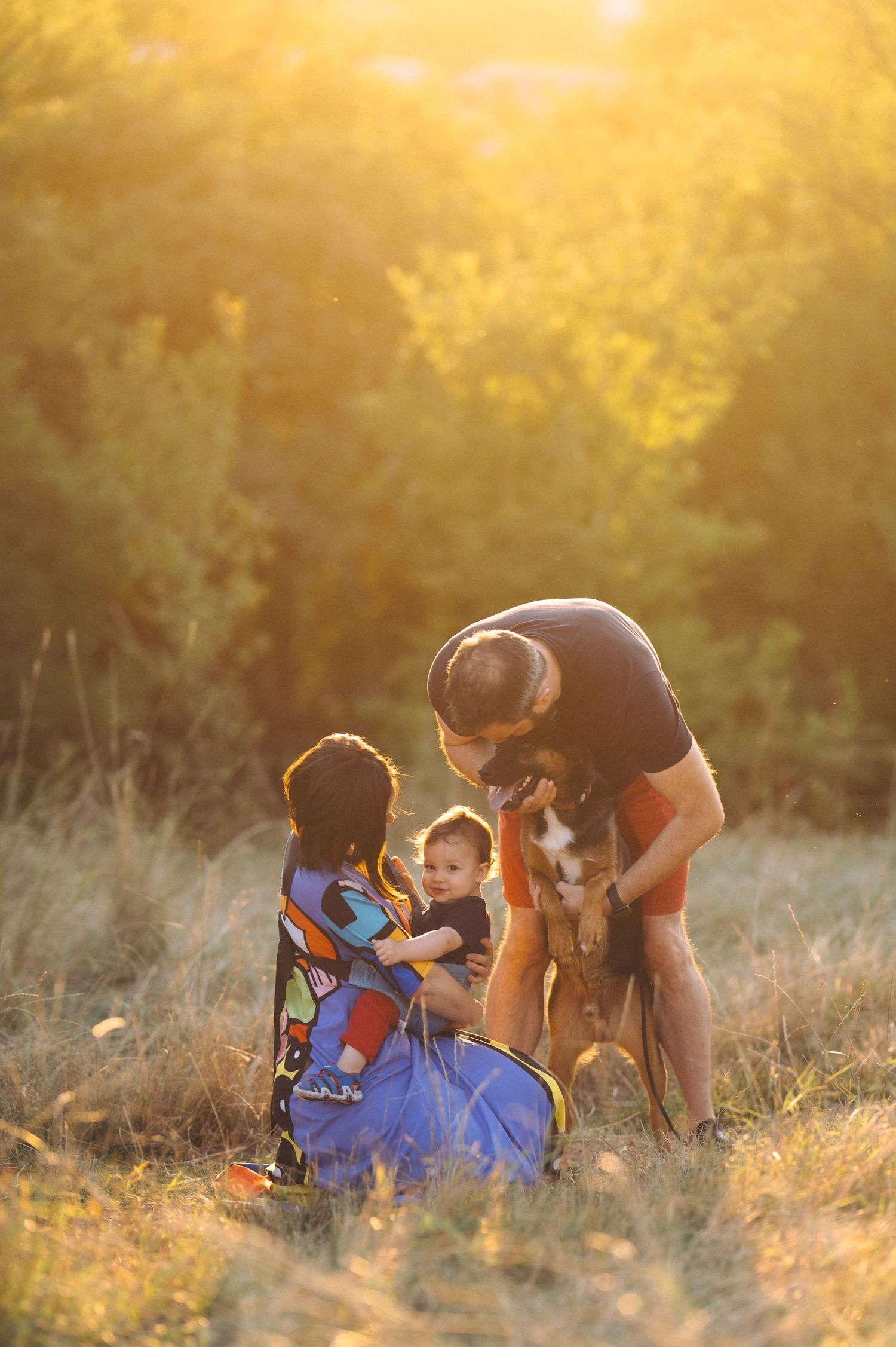 A sequence of sunset-lit photos showing a playful moment in a grassy field during golden hour.