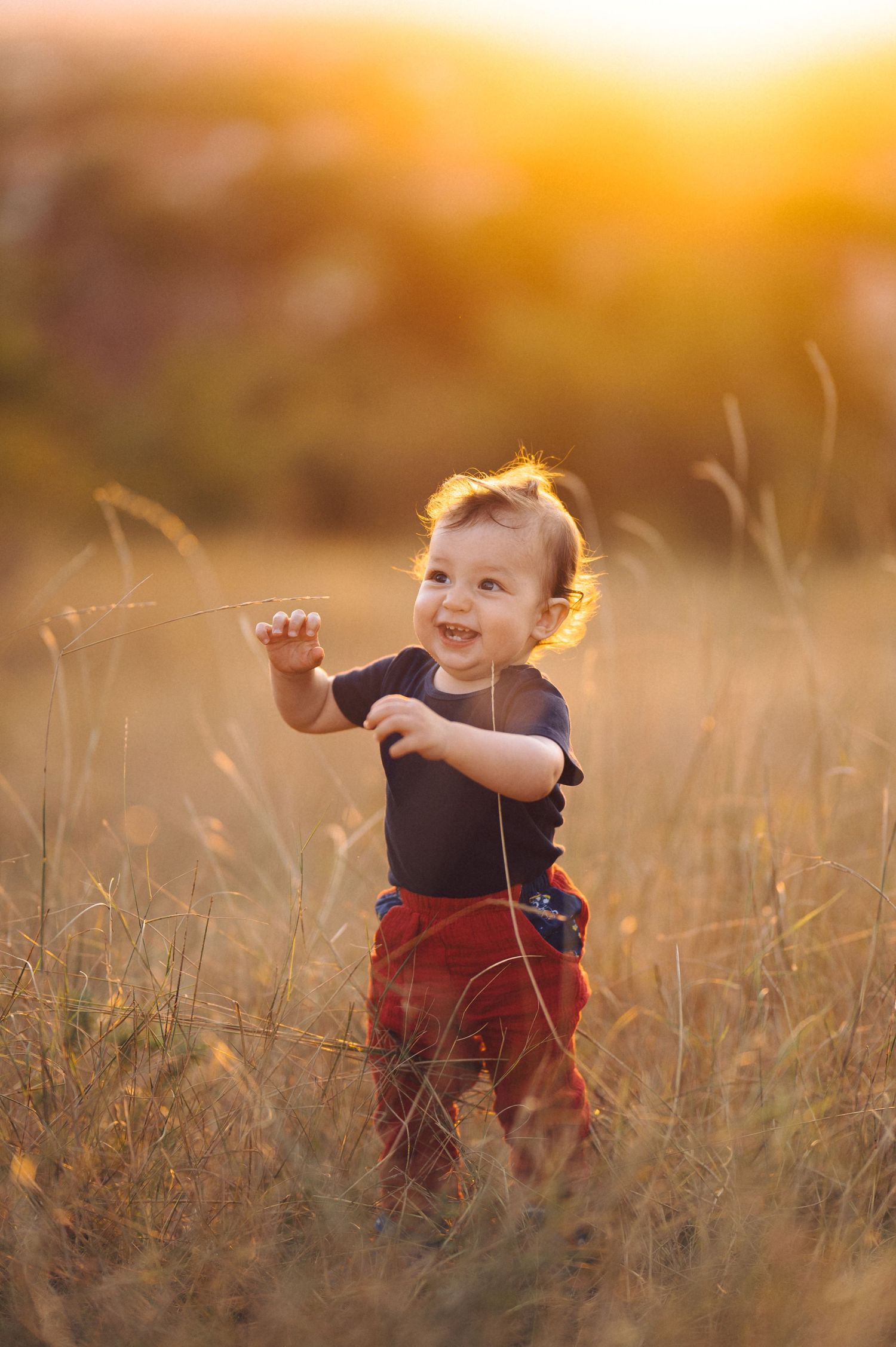 Toddler in red pants and dark shirt playing in a golden wheat field at sunset.