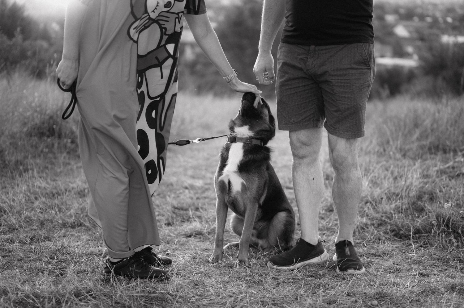 Black and white photo of a border collie dog between two people's legs outdoors.