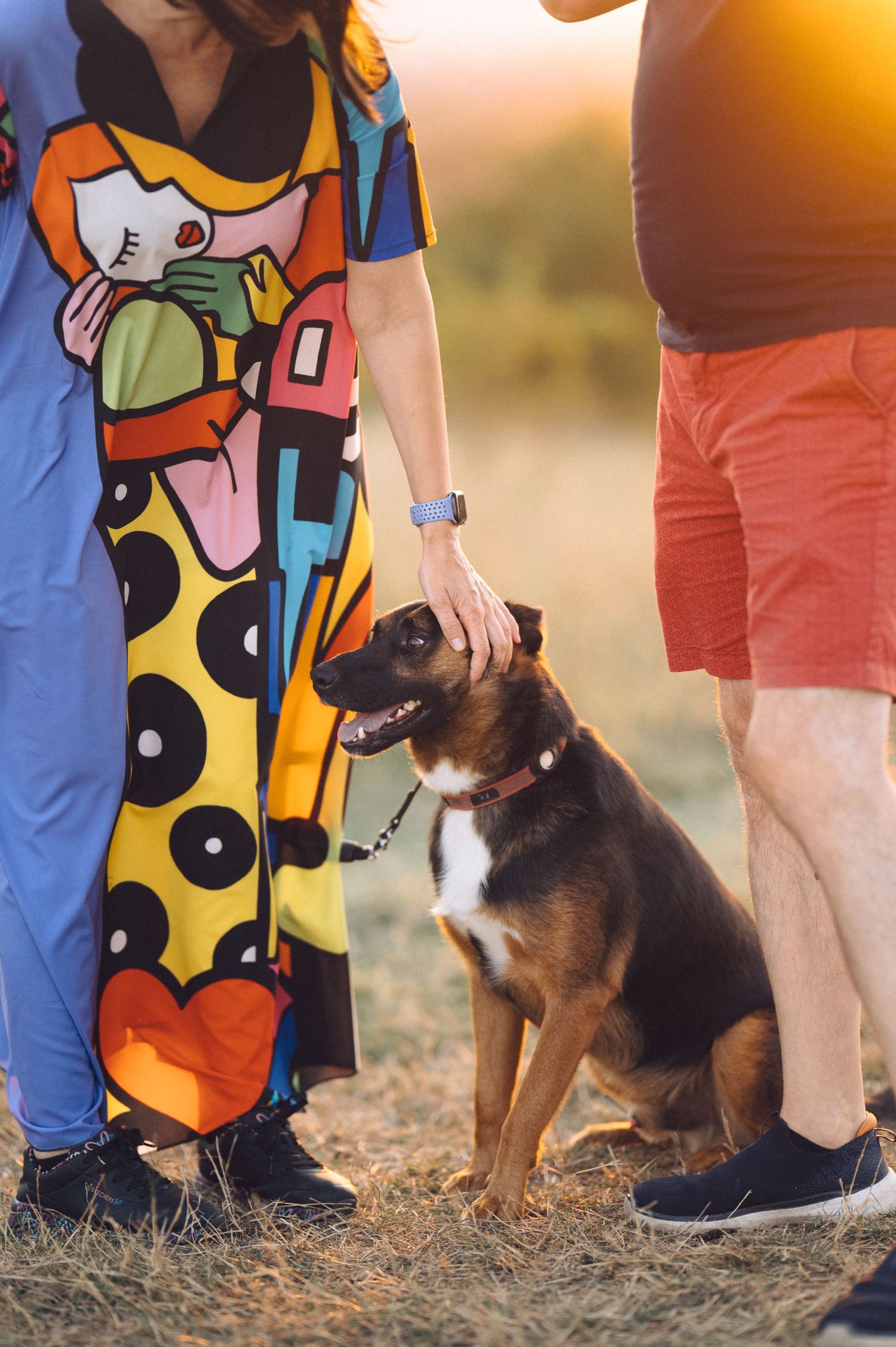 Colorful sundress and casual attire shown in a series of outdoor photos with a brown and black dog.