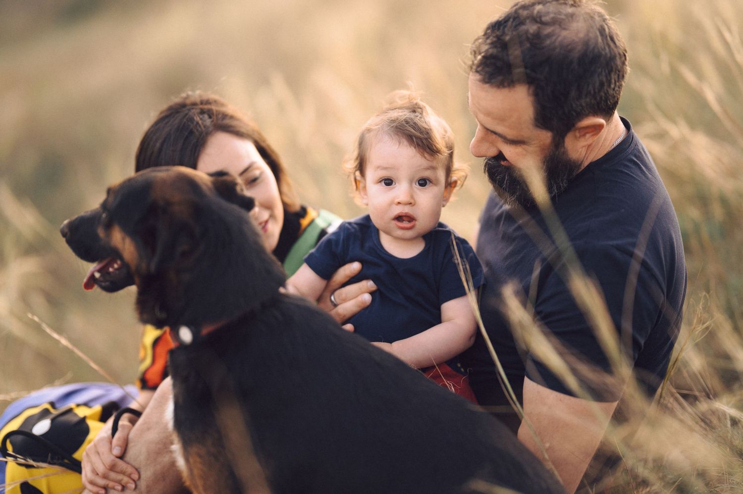 A series of candid family moments captured in nature with a dog during a golden hour photo session.