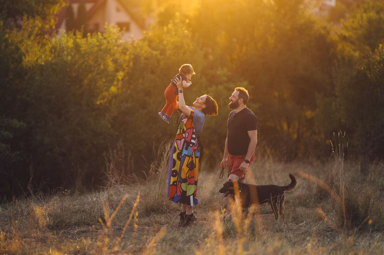 Dog owners play and train with their pets in a golden sunlit field during sunset.