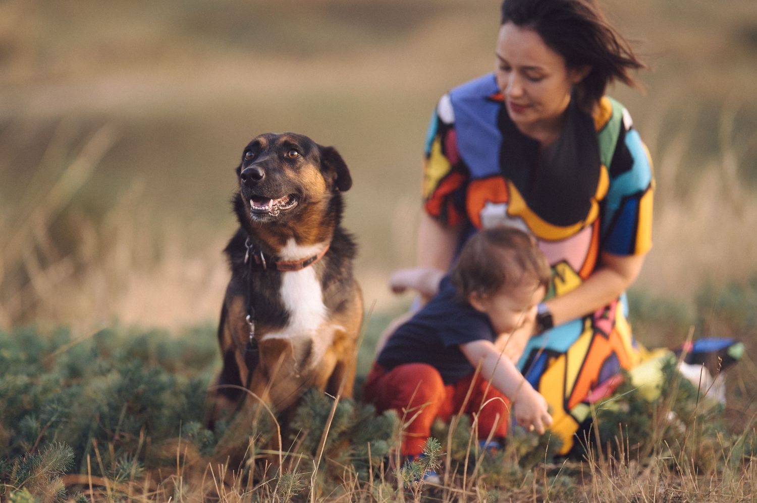 A person spends quality time outdoors bonding with their Boston Terrier dog in a natural setting.