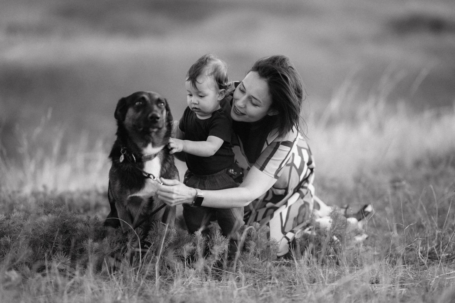 A sequence of happy moments captured in dreamy black and white images showing people lying in grass meadows.