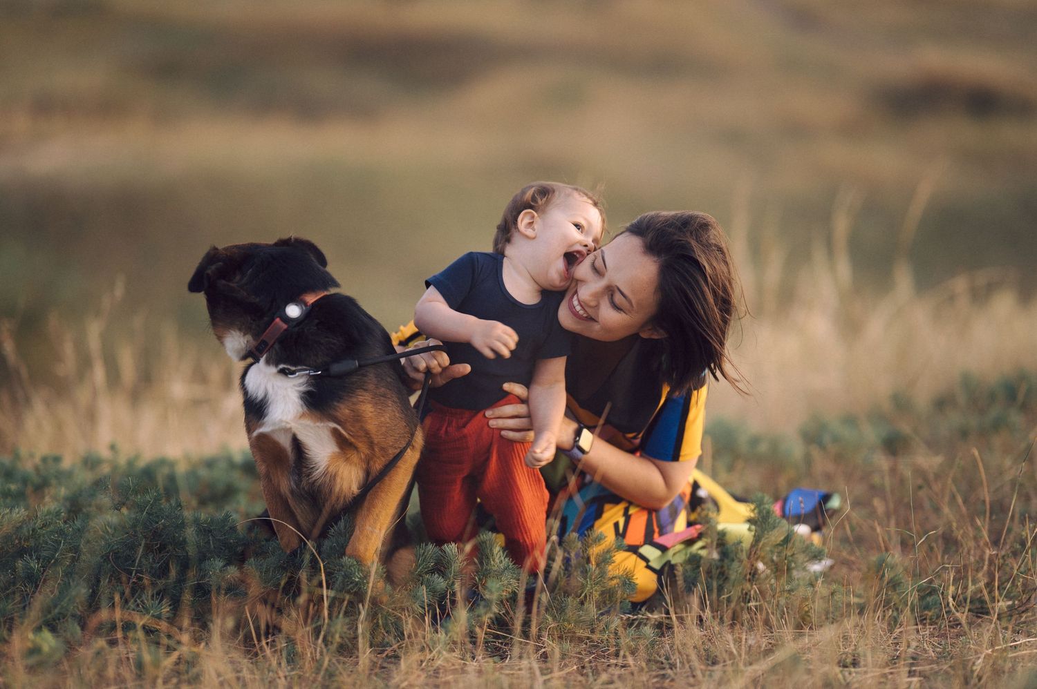 Couple and their dog lying together in a golden wheat field during sunset.