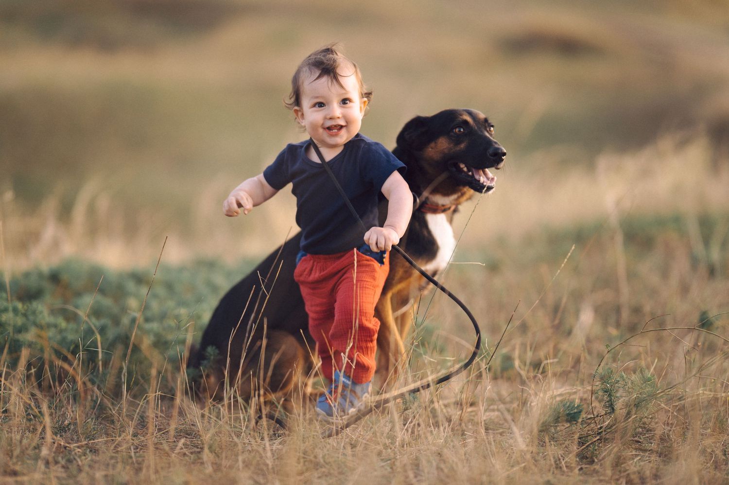 A child and dog run together through a field of tall grass during golden hour.