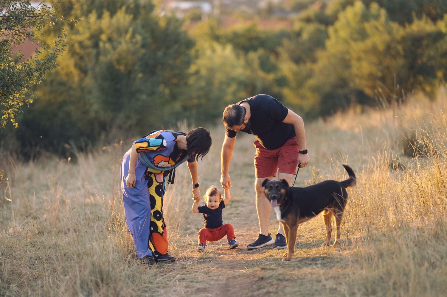 A photographer lies on the ground to capture photos of a dog at sunset in a golden field.