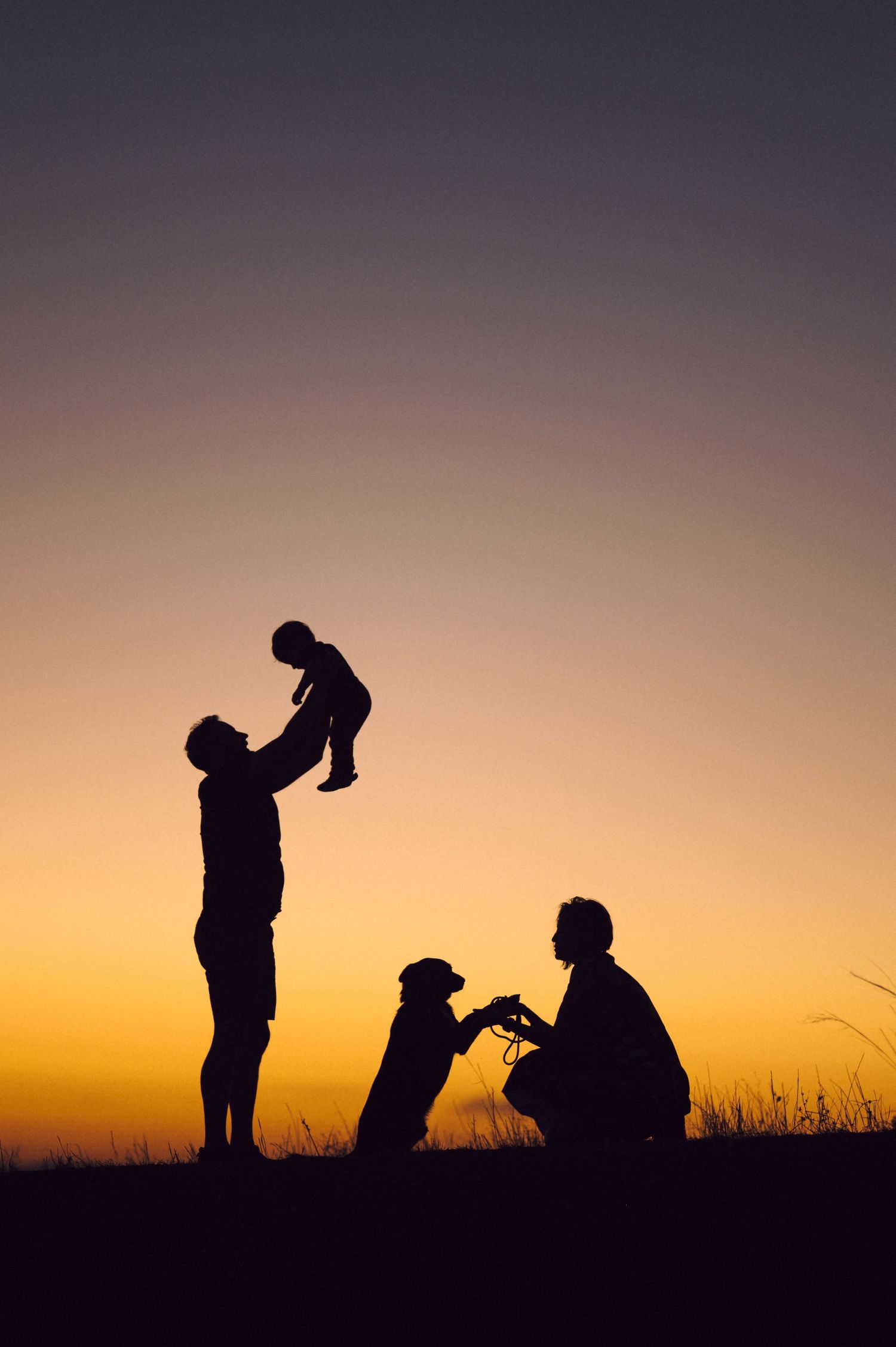 Silhouettes of people and a dog against a vibrant orange sunset sky creating dramatic shadows on a hilltop.
