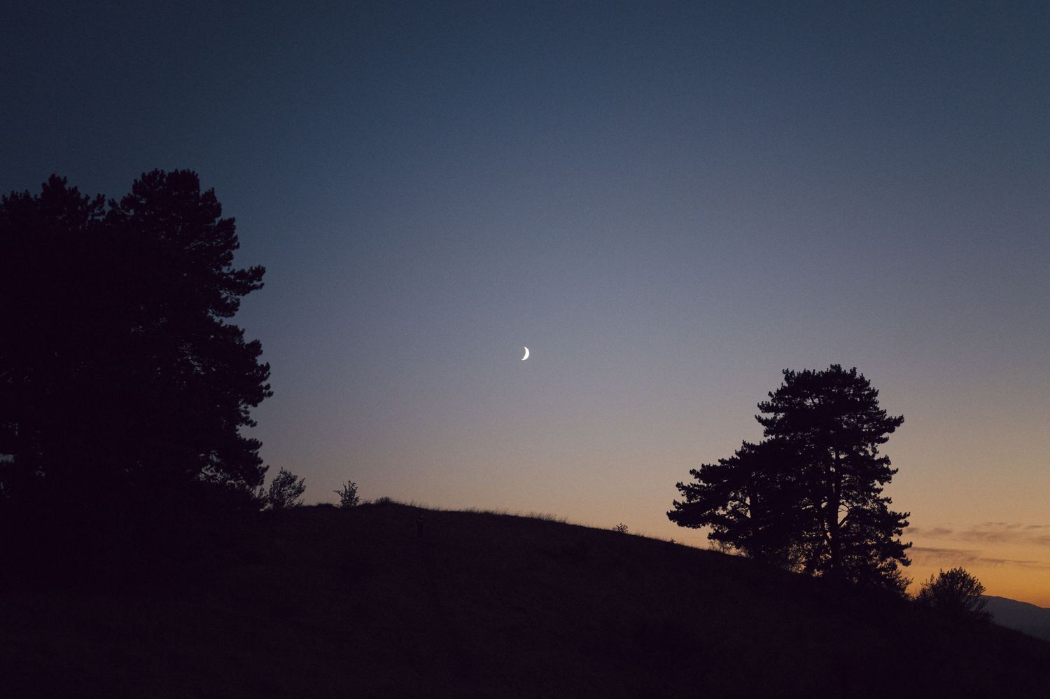 Dark blue sunset horizon with small moon visible over treeline silhouettes.