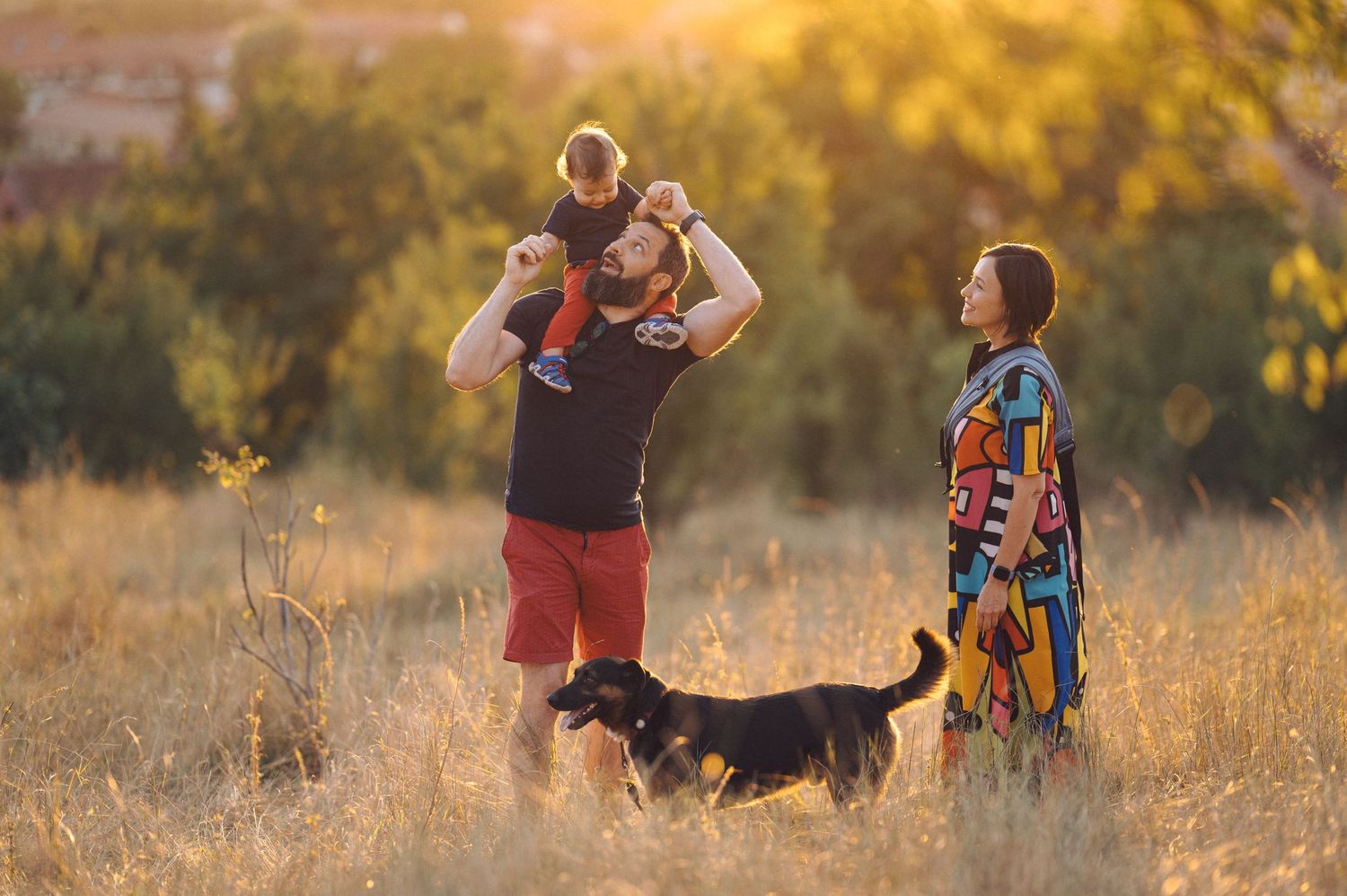 A heartwarming outdoor family photoshoot in a sun-drenched field with dogs during golden hour magic.