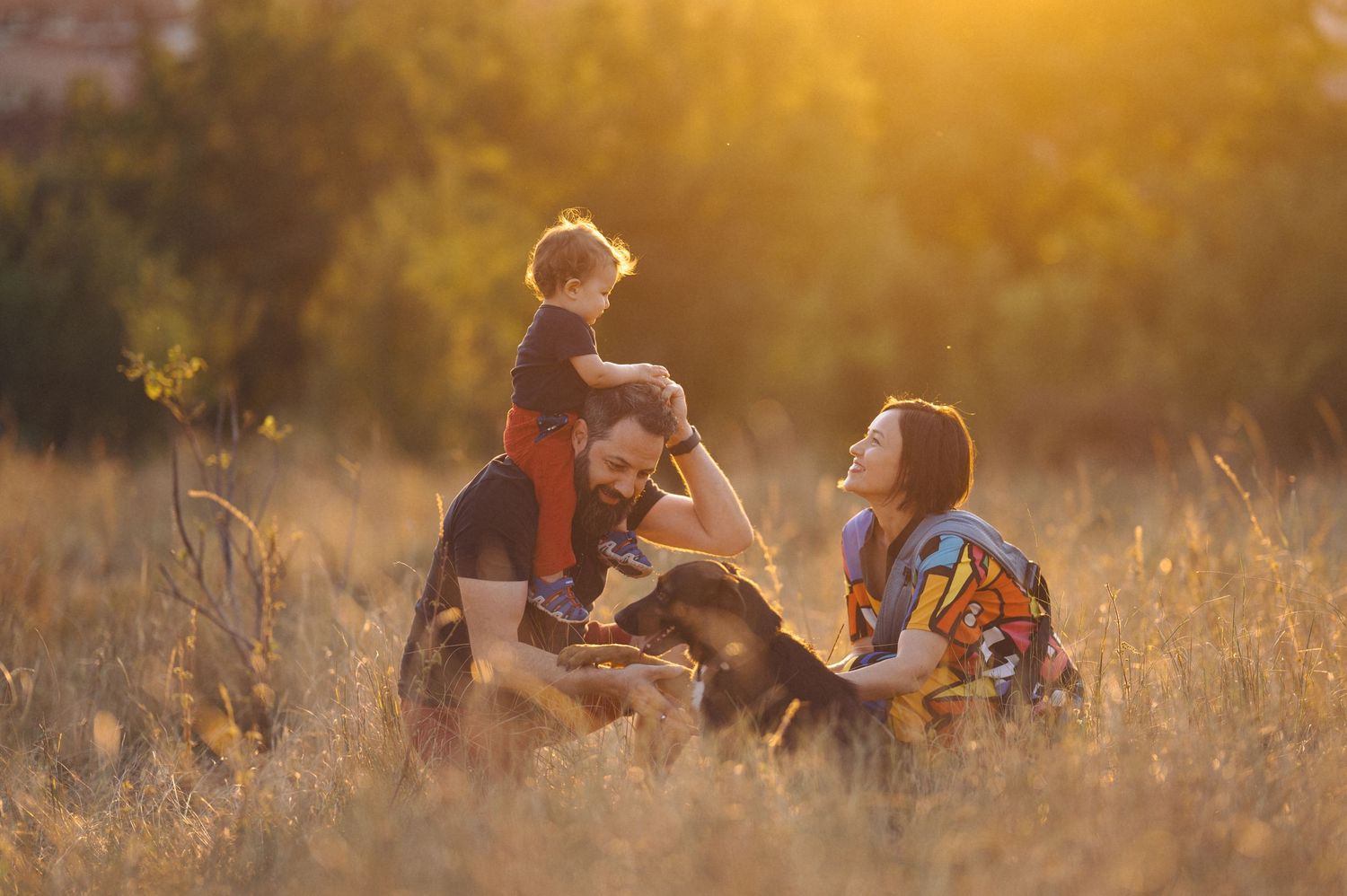 A family enjoys a warm sunset moment in tall golden grass during an outdoor photo session.