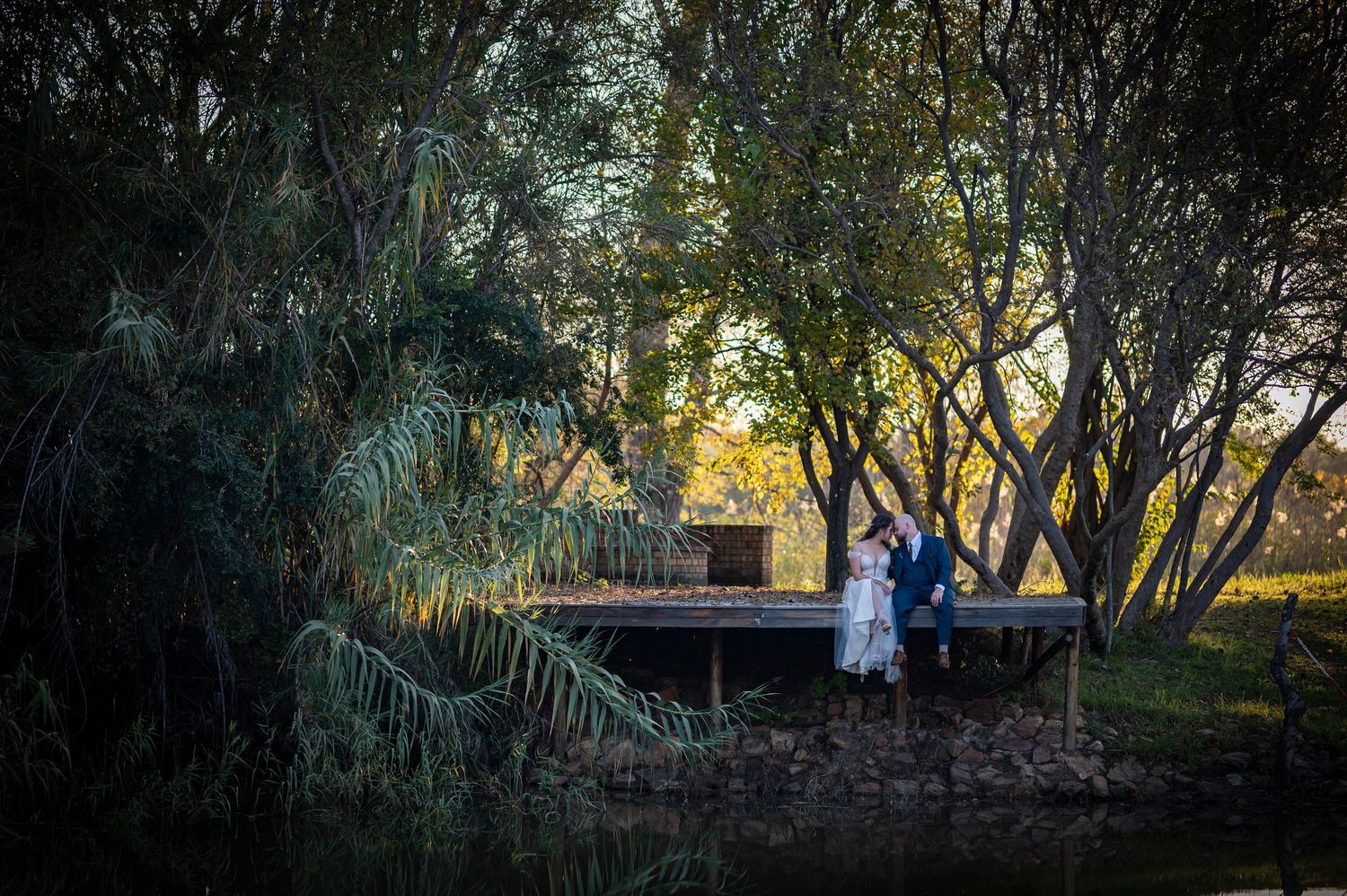 A misty wooded pathway at sunset creates a dreamy atmosphere with light filtering through the trees.