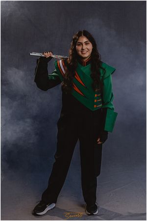 Banners Marching Band top 10 best group photos Pictures Phoenix Anjeanette Photography senior AZMBA WGAZ AZ  https://www.phoenixteamphotogra