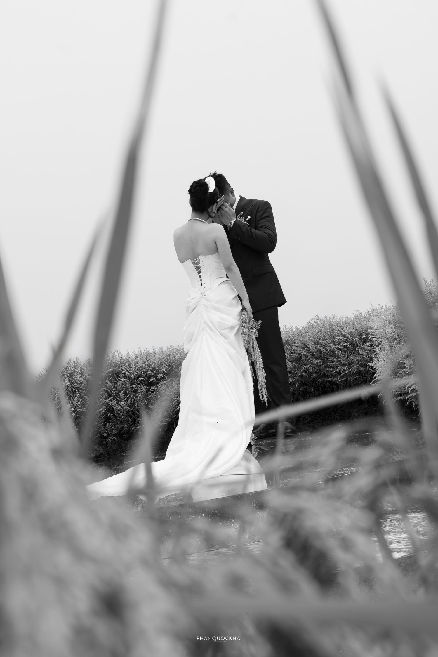 Black and white wedding photo of couple kissing, framed by tall grass in scenic outdoor setting.