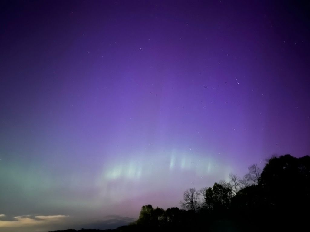 Purple and green aurora borealis lighting up the night sky over a dark treeline.
