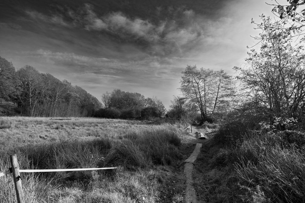Black and white landscape of a narrow footpath winding through wild meadows and trees under a dramatic cloudy sky.