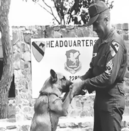 Charger, 5 months old, An Khe, Viet Nam