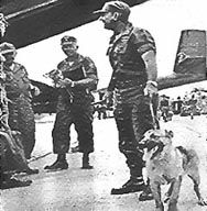 Charger with Clark, An Khe, Viet Nam, 1966-1967