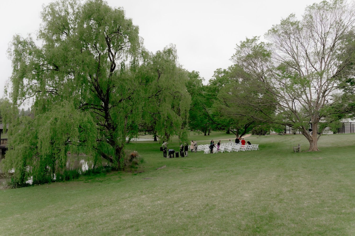 A lush green park with weeping willow trees and a small group of people gathered near a pond on an overcast day.