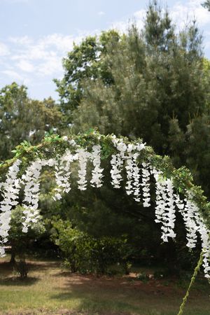Elegant white wisteria floral arch against blue sky and lush green trees at outdoor wedding.