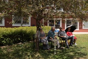 Three people sitting on benches under a shady tree outside a red building on a sunny day.