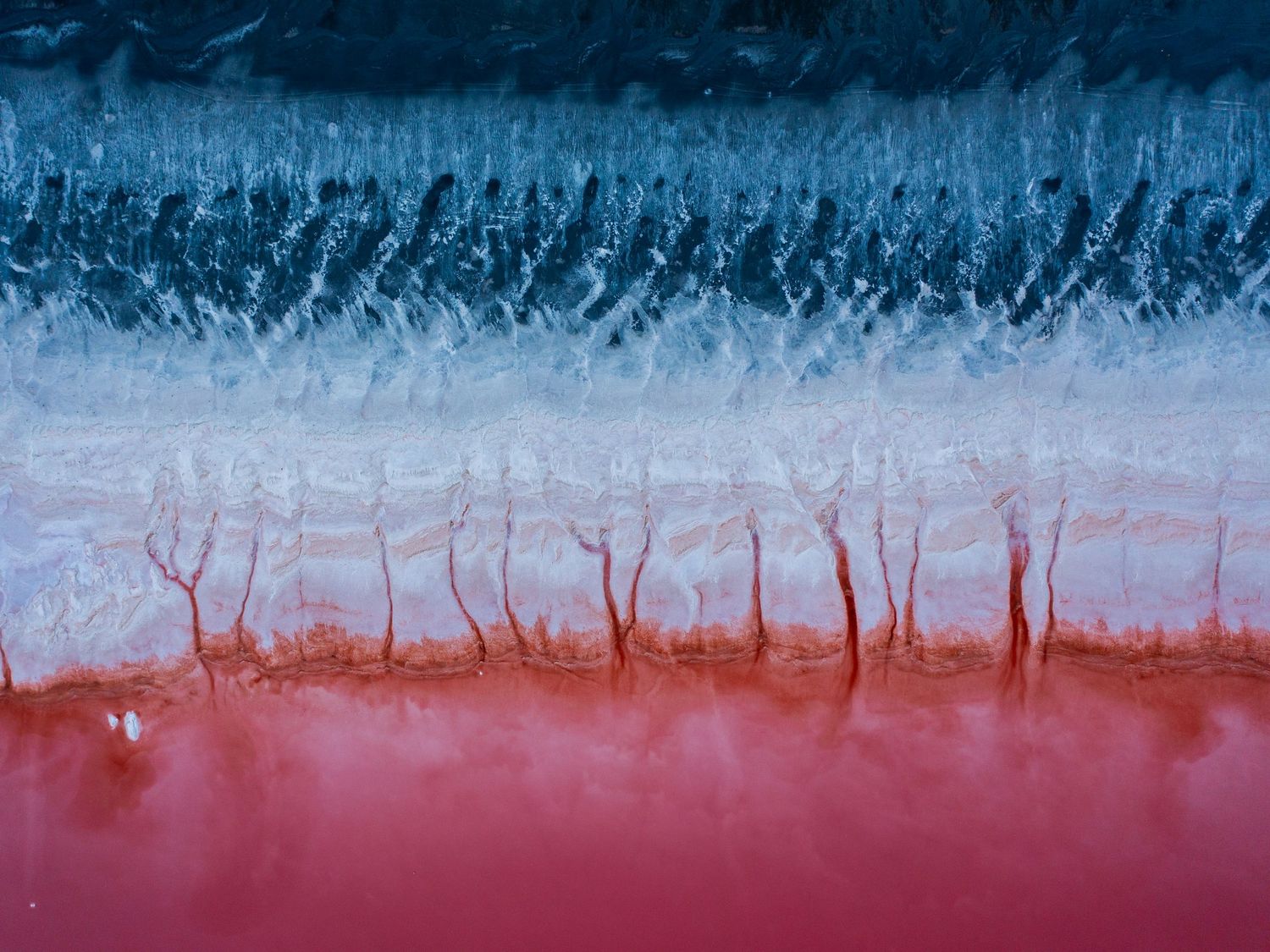 Aerial view of Lake Urmia, Iran, with bands of blue water, white salt crust, and red algae-colored shallows.