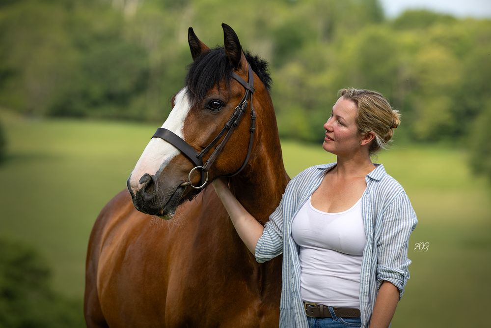 horse photography