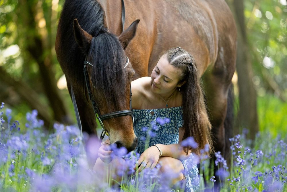 horse photography