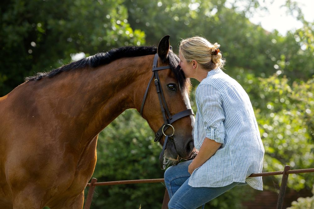 horse photography