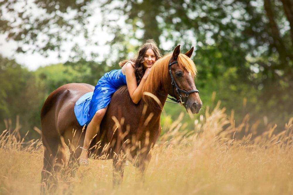 horse photography