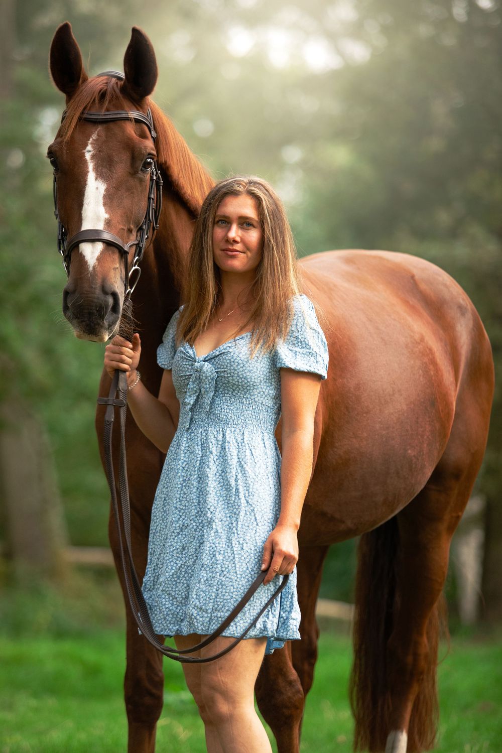horse photography