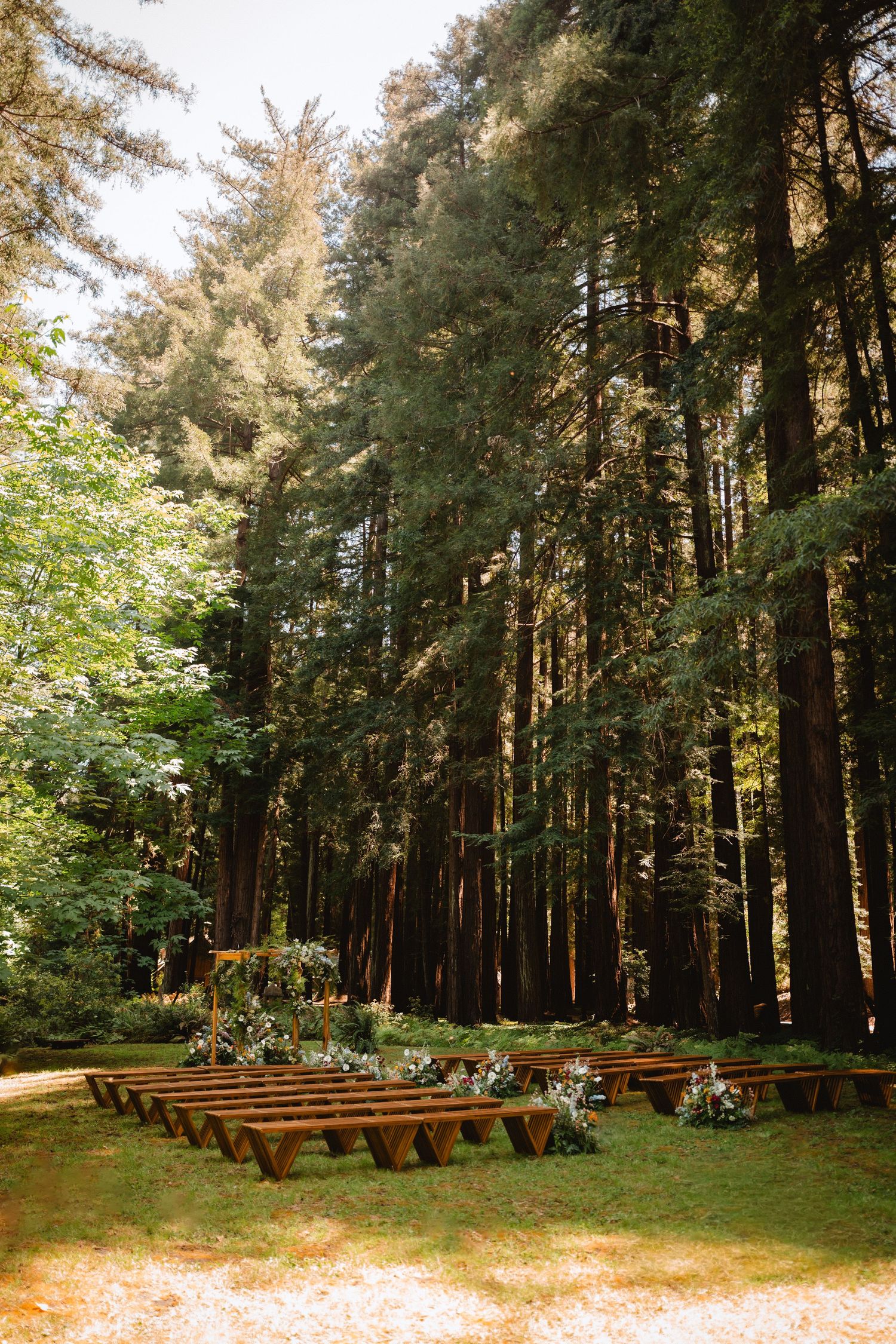 redwood wedding ceremony space