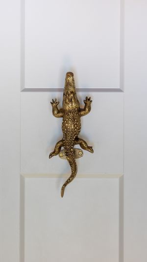 Gold brass alligator door knocker mounted on a white paneled door.