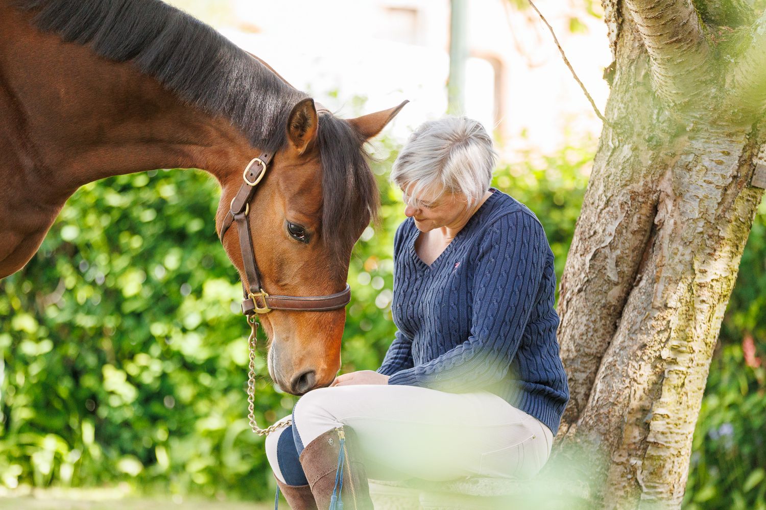 A beautiful black and white paint horse stands with a person on a sunny autumn day outdoors.