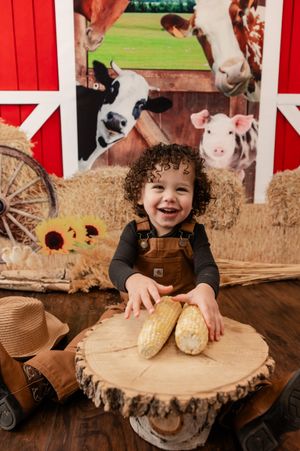 Joyful child in brown overalls sits at rustic wooden table display with corn and farm-themed backdrop with animal photos.