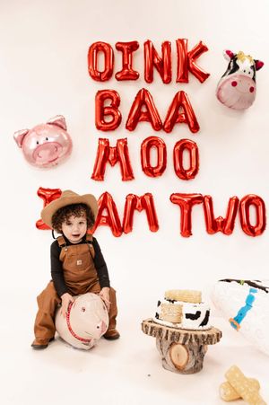 A child-sized farm party display features red balloon letters spelling words with plush animals and wooden accents.