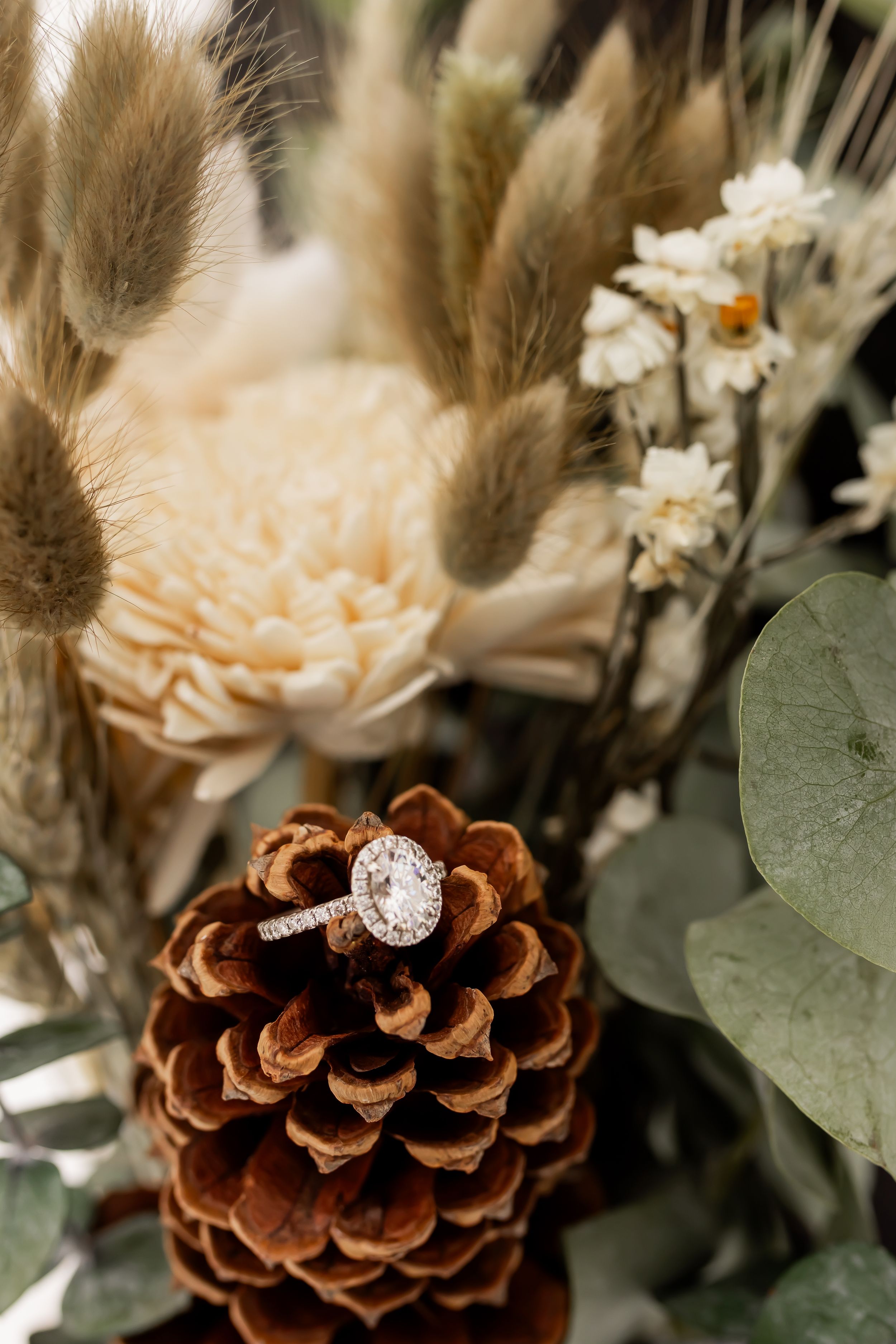 Engagement ring photographed on pinecone with dried florals, moody wedding detail shot